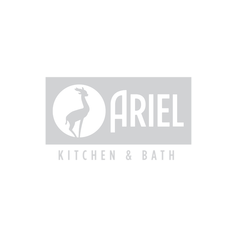 ARIEL proveedor premium Proyecto Sanitario para hacer realidad tu proyecto